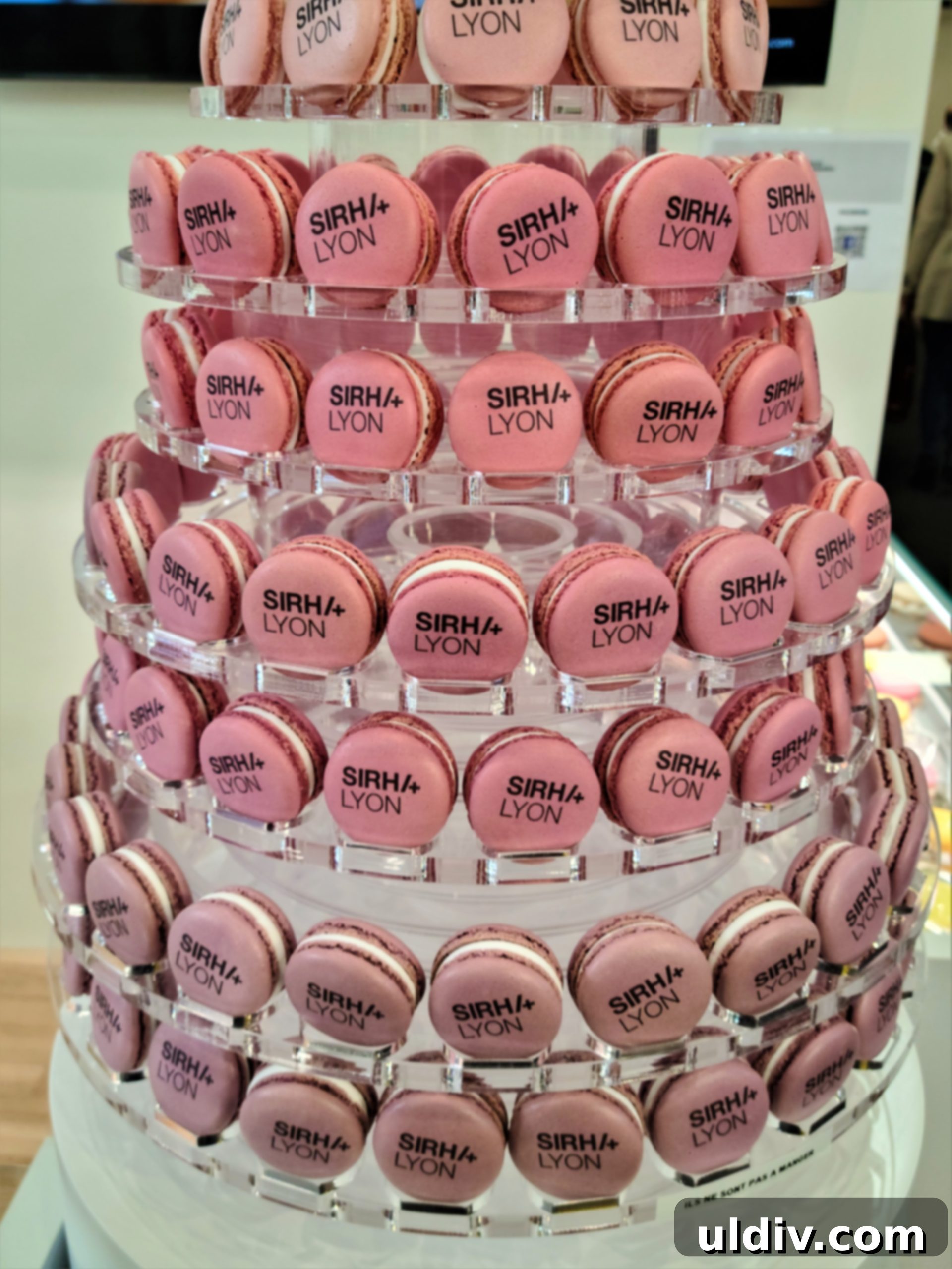 Sirha Lyon Adventures A Blogger's Tenth Anniversary 2 Sirha Lyon 2023 Culinary Experience