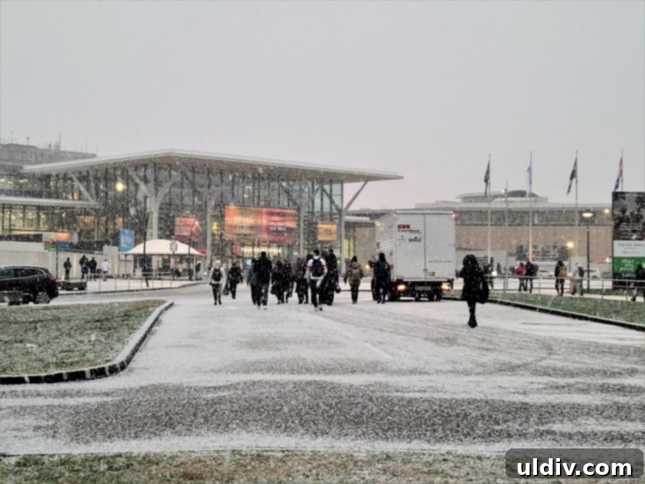 Sirha Lyon Adventures A Blogger's Tenth Anniversary 5 Snowfall clearing at Sirha Lyon