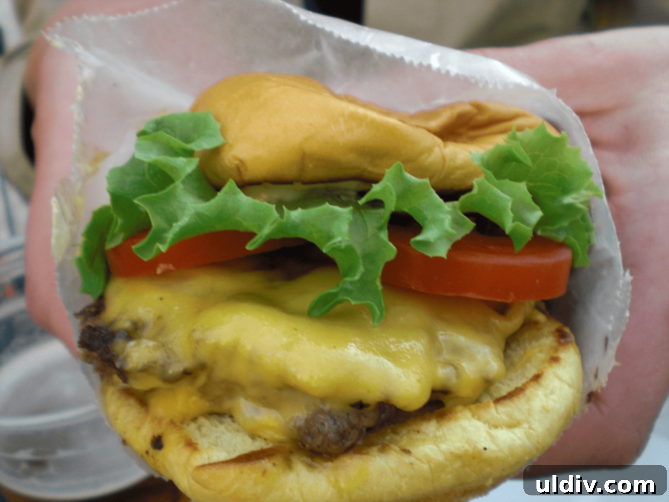 The Great American Burger 3 A cheeseburger with lettuce and tomato.