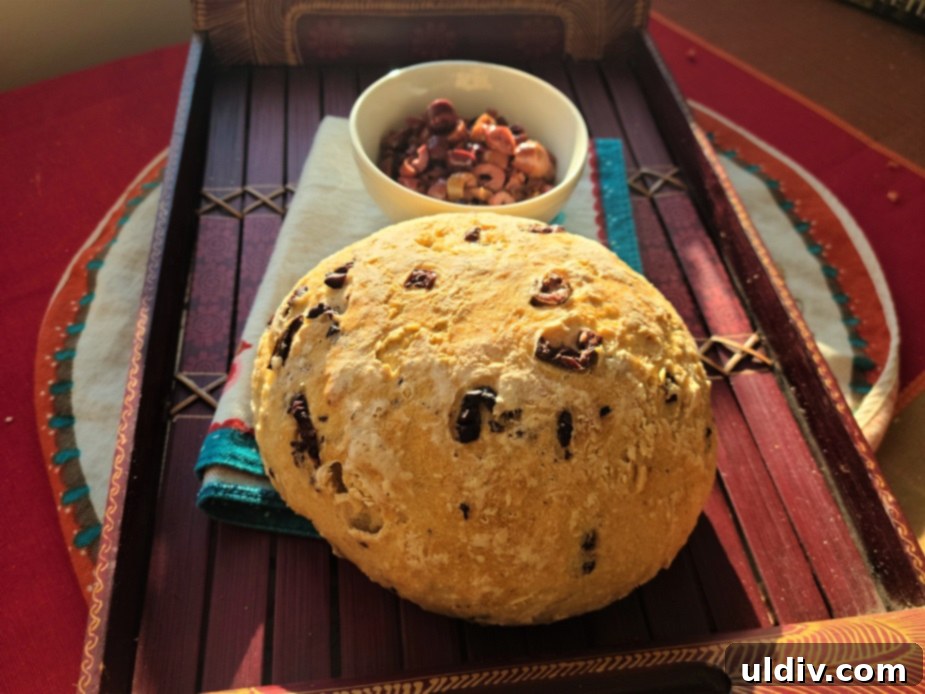 National Nutrition Month Healthy Habits for a Healthy Year 17 Freshly baked no-knead olive bread