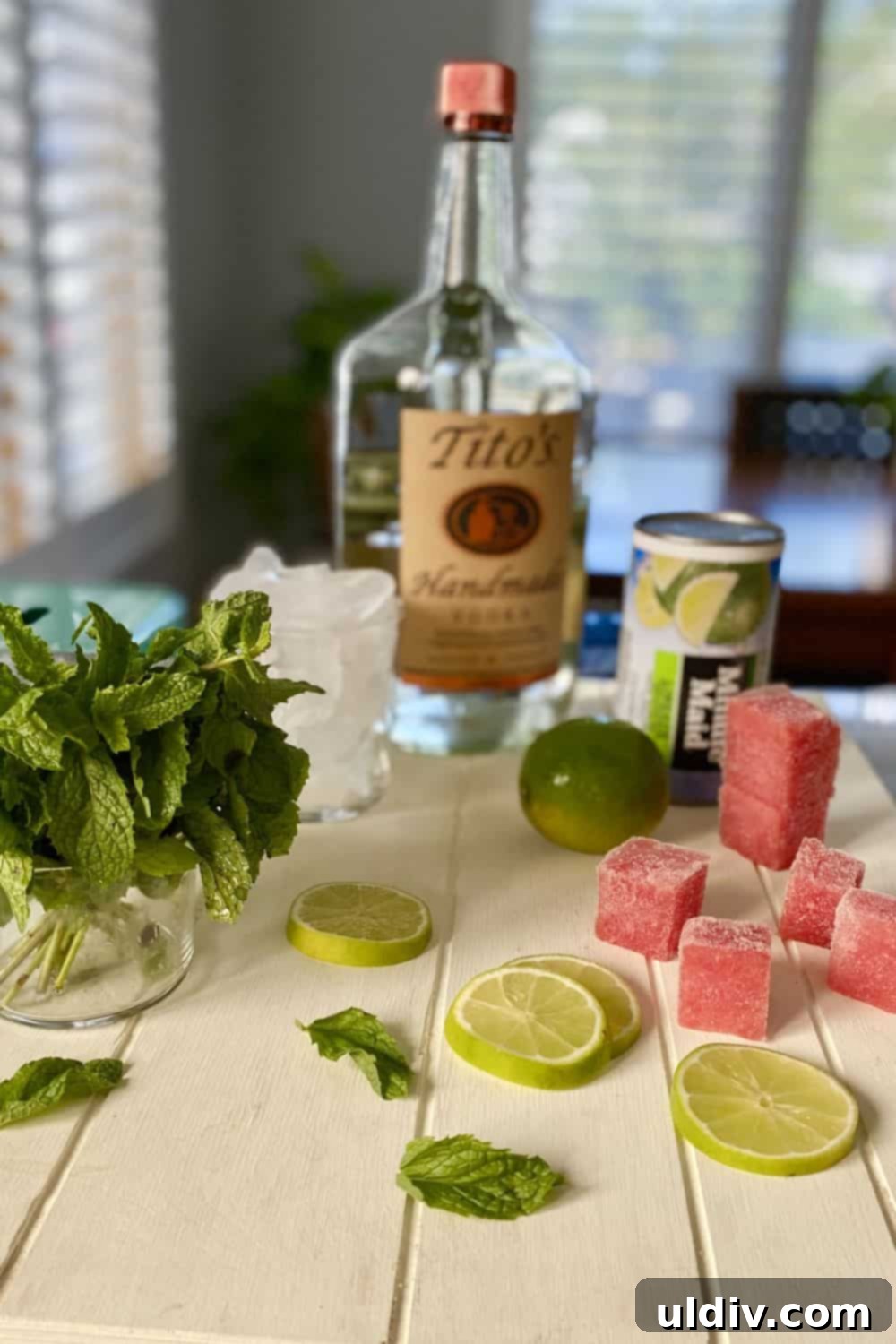 Pitcher Perfect Lime Vodka Fizz 3 Key ingredients for sparkling lime vodka drink: vodka, limeade concentrate, fresh mint, whole limes, and ice cubes.