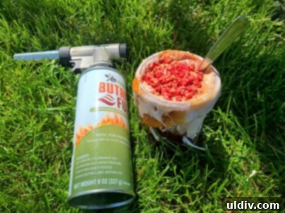 June's Table: Where Light Meets Lavish 20 Elevate Your Desserts with Culinary Jo Chef PRO Torch