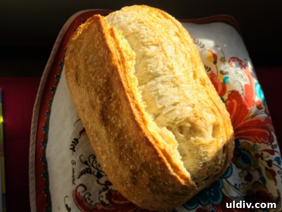 La Brea Bakery Summer Grilling: Say Yes to Seasonal, Vibrant Deliciousness! 3 A selection of delicious artisan breads from La Brea Bakery