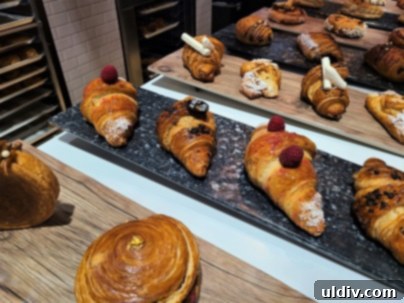 Experiencing and Evaluating the 2023 National Restaurant Association Show 28 A final photo illustrating the abundance of delicious foods at the show