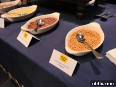 Unwrap Pure Joy: The 2023 Sweet & Snack Spectacle 4 Interactive dessert experience