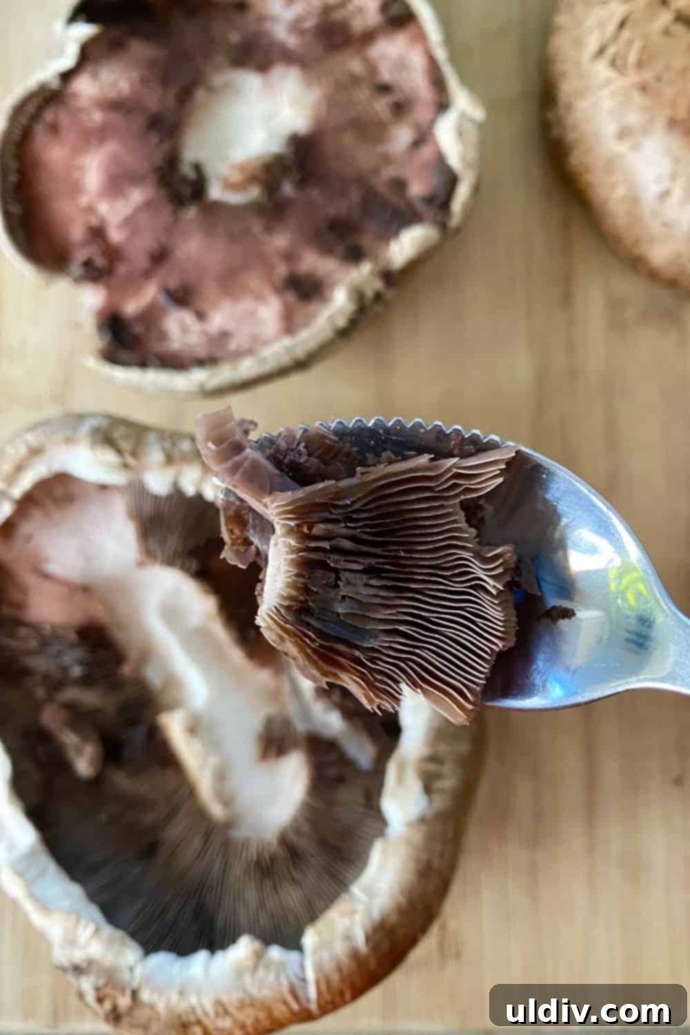Savory Mashed Potato Portobello Caps 4 A spoon being used to remove the gills from the underside of portobello mushrooms.