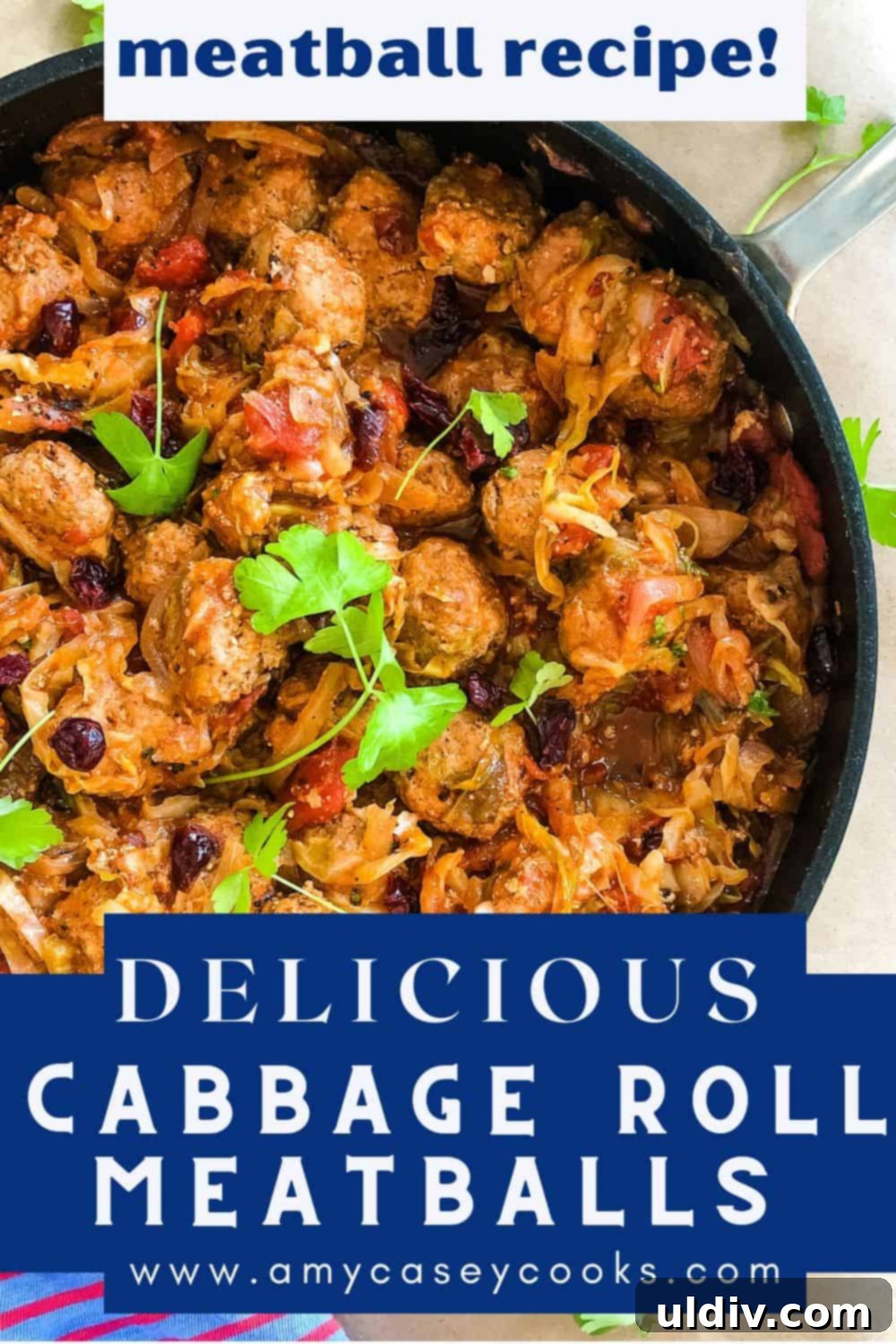 Cabbage Roll Meatball Bake 6 A sauté pan filled with Cabbage Roll Meatballs, showcasing the rich sauce and tender meatballs, ready to be served as a comforting dinner