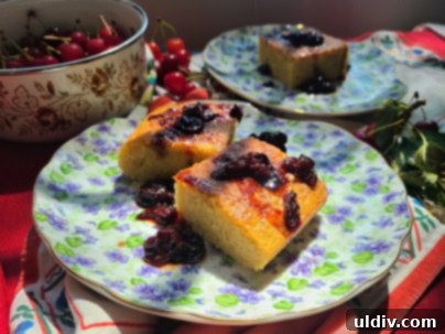Vişne: Yazın Serinleten Ekşi Lezzeti 14 A slice of sponge cake generously topped with sour cherry jam and fresh fruit.