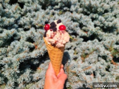 Vişne: Yazın Serinleten Ekşi Lezzeti 15 A bowl of sour cherry ice cream garnished with fresh mulberries and cherries.