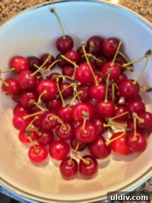 Vişne: Yazın Serinleten Ekşi Lezzeti 16 A bowl of fresh sour cherries, some pitted, ready for preservation.