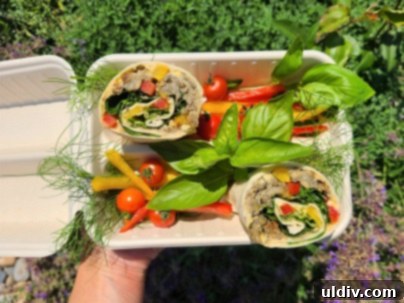 Better Earth ile Sürdürülebilirlik Üzerine: Yeşil Gelecek Ne Anlama Geliyor? 3 Sustainable lunch served in compostable packaging