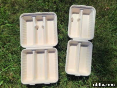 Better Earth ile Sürdürülebilirlik Üzerine: Yeşil Gelecek Ne Anlama Geliyor? 4 Close-up of compostable taco clamshell packaging