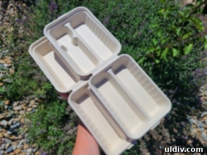 Bamboo fiber taco clamshell packaging from Better Earth