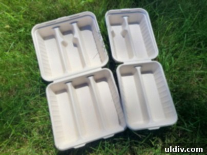 Better Earth ile Sürdürülebilirlik Üzerine: Yeşil Gelecek Ne Anlama Geliyor? 6 Compostable packaging in a commercial composting facility