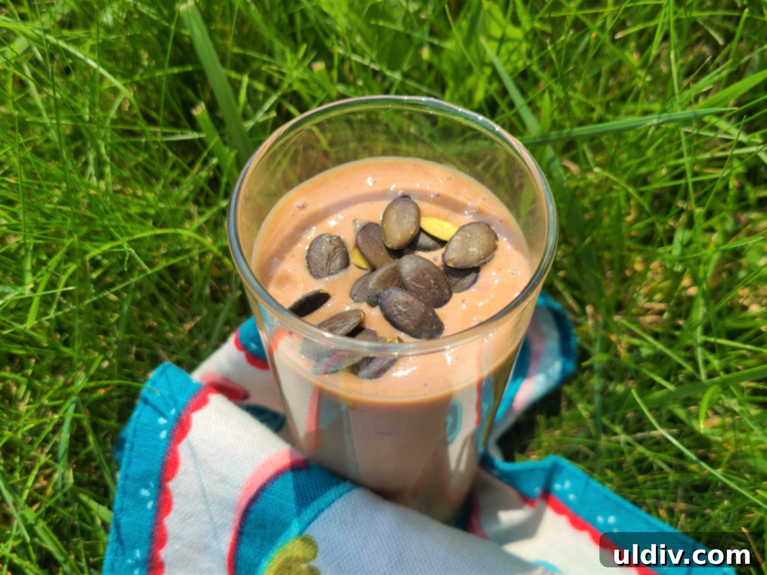 Naked Nutrition Chocolate Pea Protein Powder A Deliciously Wholesome Review 2 A vibrant green yoga mat with a water bottle and hand weights, symbolizing the start of a fitness journey.