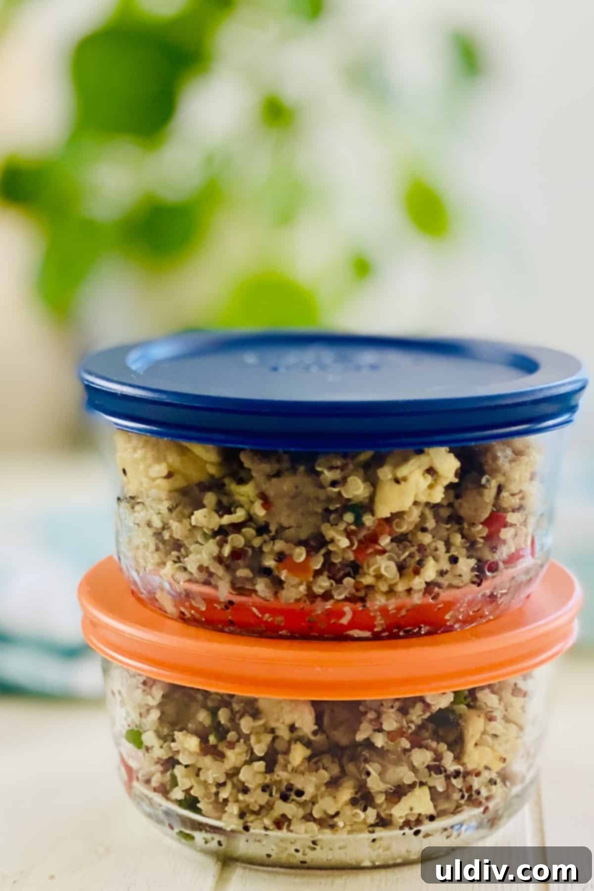 The Savory Quinoa Kickstart: Eggs, Sausage & Spinach 9 2 storage bowls with single servings of quinoa breakfast bowl.