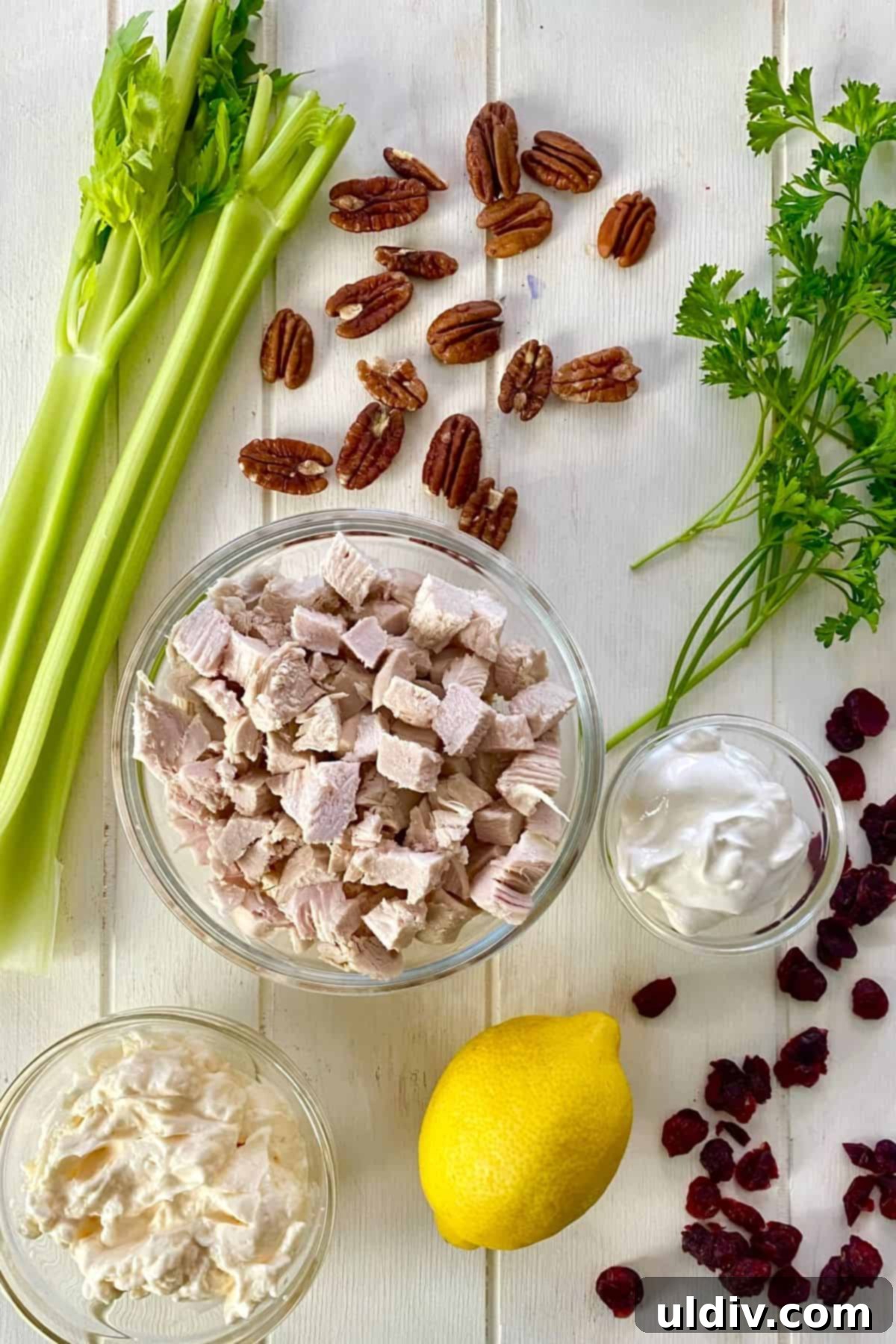 Zesty Cranberry Pecan Chicken Salad 3 cooked chicken, dried cranberries, celery, pecans, lemon, mayonnaise, sour cream, parsley.