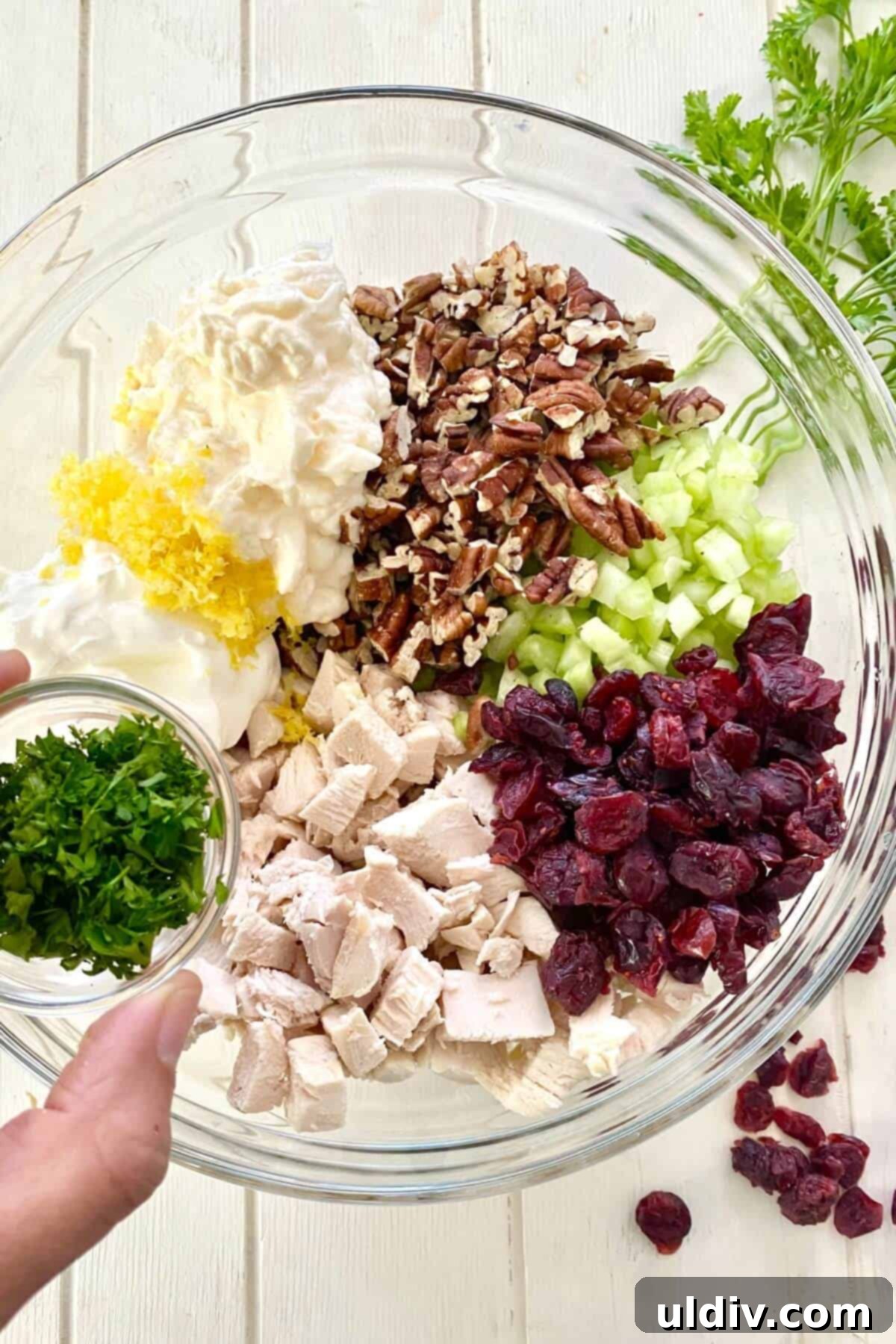 Zesty Cranberry Pecan Chicken Salad 4 glass bowl with ingredients for cranberry chicken salad.