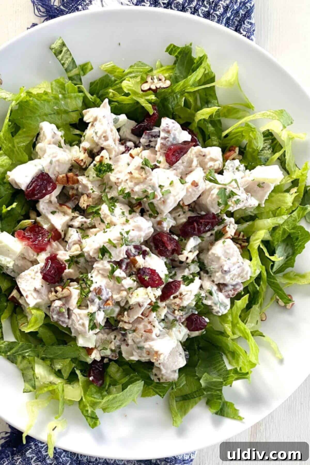 a salad with chicken, cranberries and pecans over lettuce.