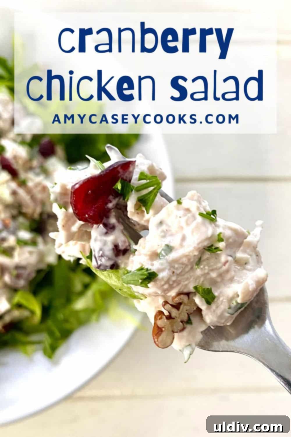 Zesty Cranberry Pecan Chicken Salad 6 creamy cranberry chicken salad on a fork.