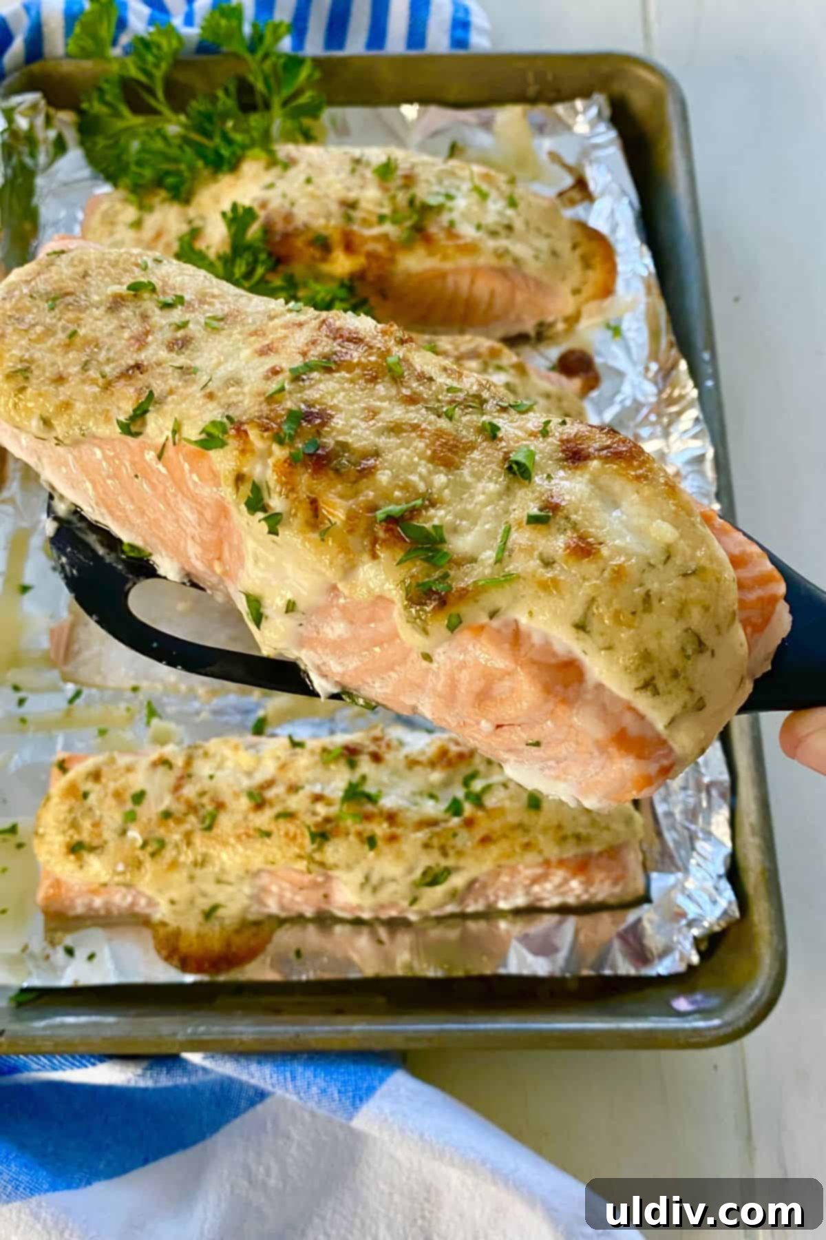 Savory Roasted Salmon Caesar 2 Perfectly roasted salmon with a creamy Caesar topping on a serving spatula, ready to be plated.
