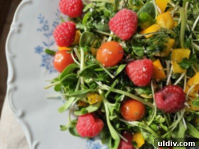 Cultivating Indoor Vegan Microgreens for Year Round Salads 7 Close-up of a bowl of vegan microgreen salad