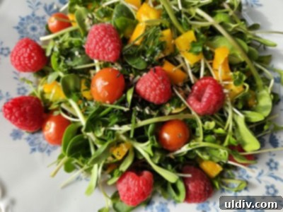 Cultivating Indoor Vegan Microgreens for Year Round Salads 8 Overhead view of a vibrant microgreen salad