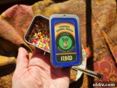 November's Harvest: Recipes, Thanksgiving Stuffing & Seasonal Picks 11 Candied fennel seeds from Paro