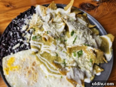 Savoring Amerikas A Delicious Dive into Nuevo Latino Flavors 5 Plate of Chilaquiles verde with crema fresca, queso fresco, and black beans.