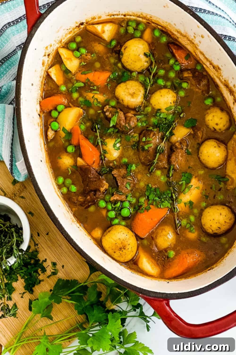 Traditional Irish Lamb Stew with a Guinness Kick 2 A hearty Irish Lamb Stew with Guinness, potatoes, carrots, and parsnips in a Dutch oven, ready to be served.