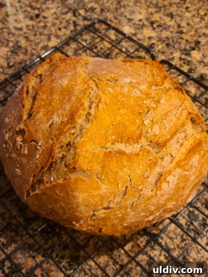 Transform Your Leftovers: Brilliant Bites from Stale Bread & Cake 2023 3 A beautiful loaf of bread, ready for culinary transformation.