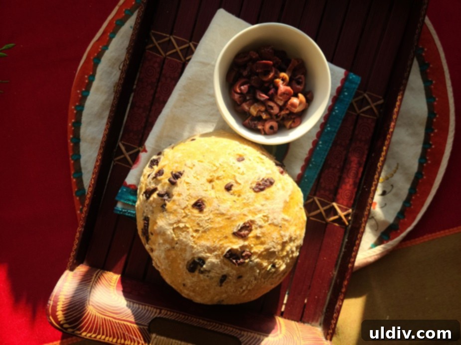 Transform Your Leftovers: Brilliant Bites from Stale Bread & Cake 2023 5 A variety of freshly baked breads, emphasizing the importance of proper storage.