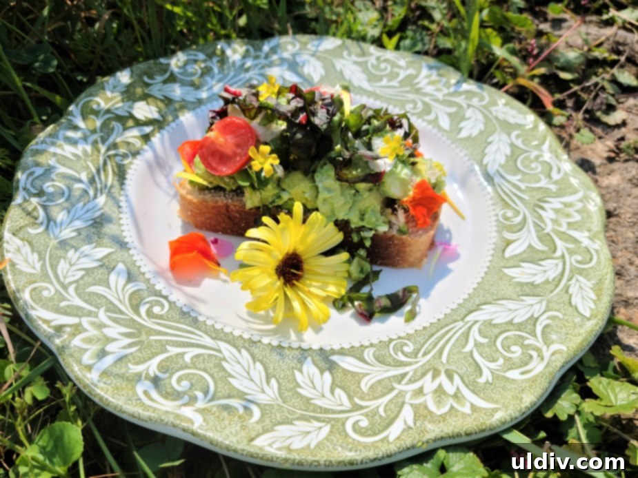 2024's Easiest Super Bowl Snacks 6 A close-up of a gourmet avocado toast showing the rich textures of avocado, goat cheese, chives, and a medley of colorful edible flowers including nasturtium, dianthus, and calendula.