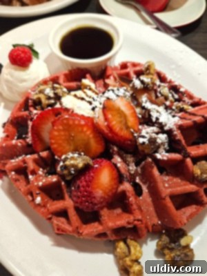 Chicago Waffles: A Delightful Brunch for Women's Day Weekend 7 A close-up of the Red Velvet waffle toppings: luscious whipped cream cheese and perfectly candied walnuts, showcasing the exquisite detail and flavor.