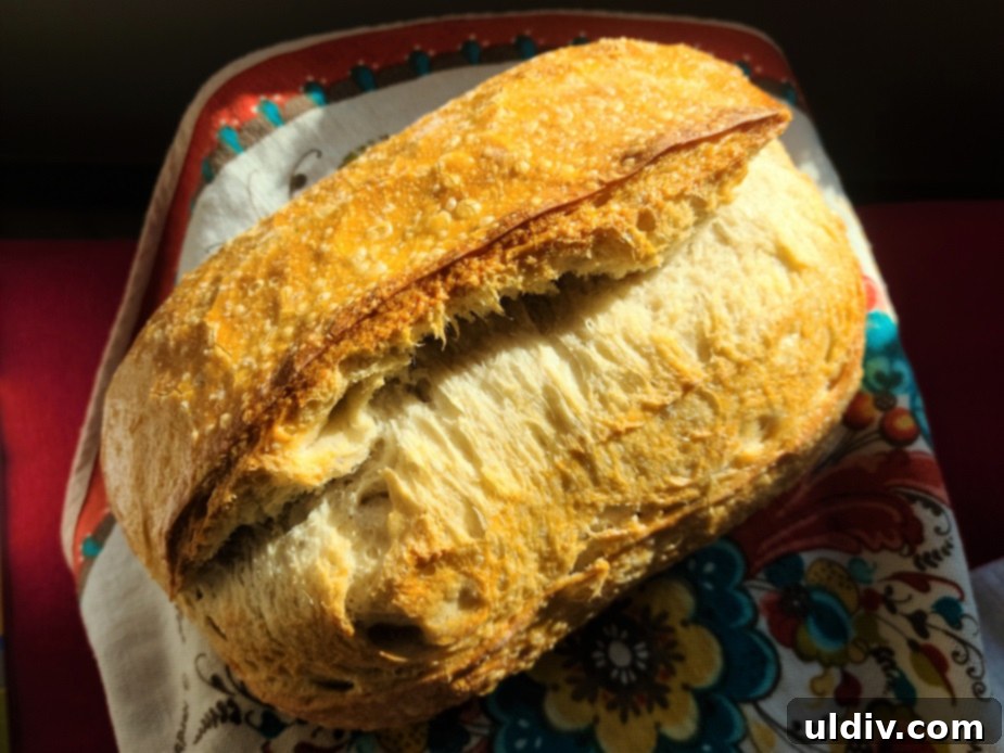 Discovering Sourdough's Health Secrets 2024 Edition 6 Crispy sourdough baguette with a golden crust