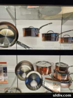 Inspired Home Show 2024 Leading the Sustainable Home Revolution 13 Hestan brand showcase
