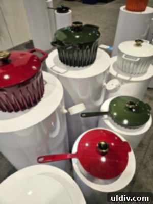 Inspired Home Show 2024 Leading the Sustainable Home Revolution 28 FIREUP cookware display