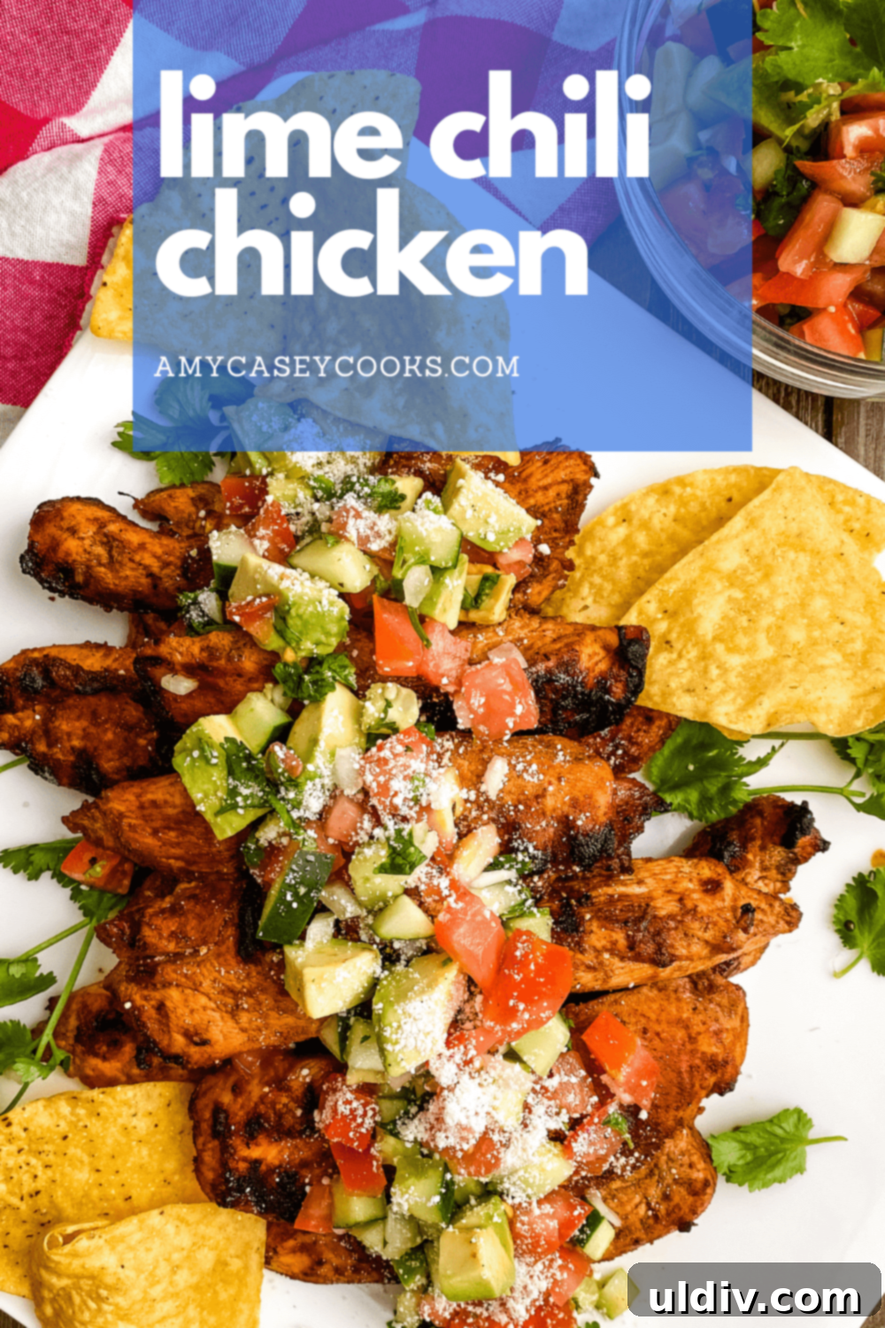 Zesty Lime Chili Chicken & Cool Avocado Salsa 5 Lime Chili Chicken with tortillas and chips