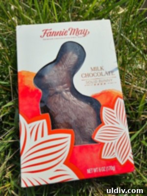 Fannie May Chocolates for a Hoppy Easter 4 Fannie May Milk Chocolate Easter Bunny