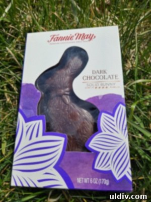 Fannie May Chocolates for a Hoppy Easter 5 Fannie May Dark Chocolate Easter Bunny