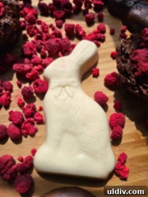Fannie May Chocolates for a Hoppy Easter 8 Fannie May chocolates with freeze-dried berries