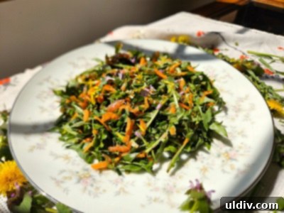 Dandelion Dining Reimagined 7 A colorful vegan salad with fresh dandelion, grapefruit, cucumber, and tomato, dressed lightly.