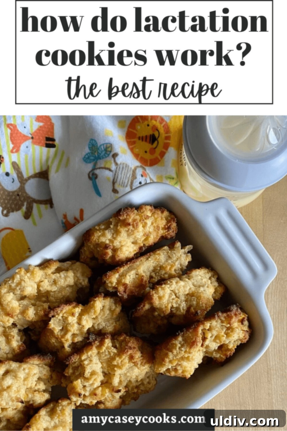 Lactation Cookies The Ultimate Breastfeeding Cookie Recipe 11 Lactation cookies beautifully arranged in a dish, ready to be enjoyed by a nursing mother.