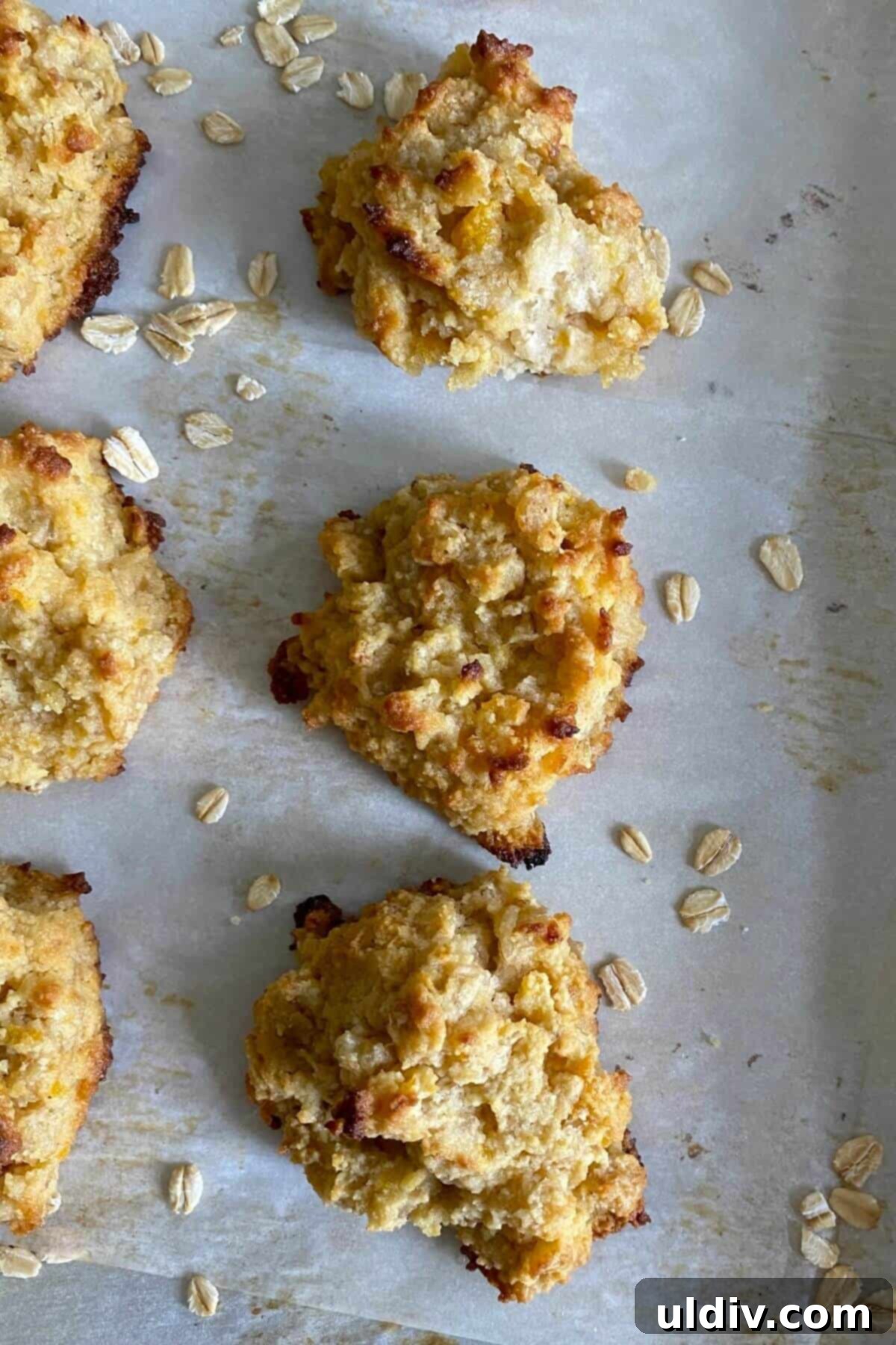 Lactation Cookies The Ultimate Breastfeeding Cookie Recipe 9 A close-up shot revealing the texture and ingredients of a delicious lactation cookie, highlighting oats and dried apricots.