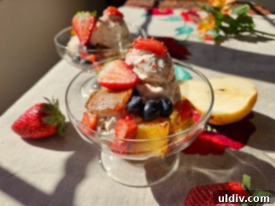 Gourmia Air Fryer The Ultimate Treat for Moms 9 Delicious warm-weather dessert with air-fried fruits and homemade ice cream