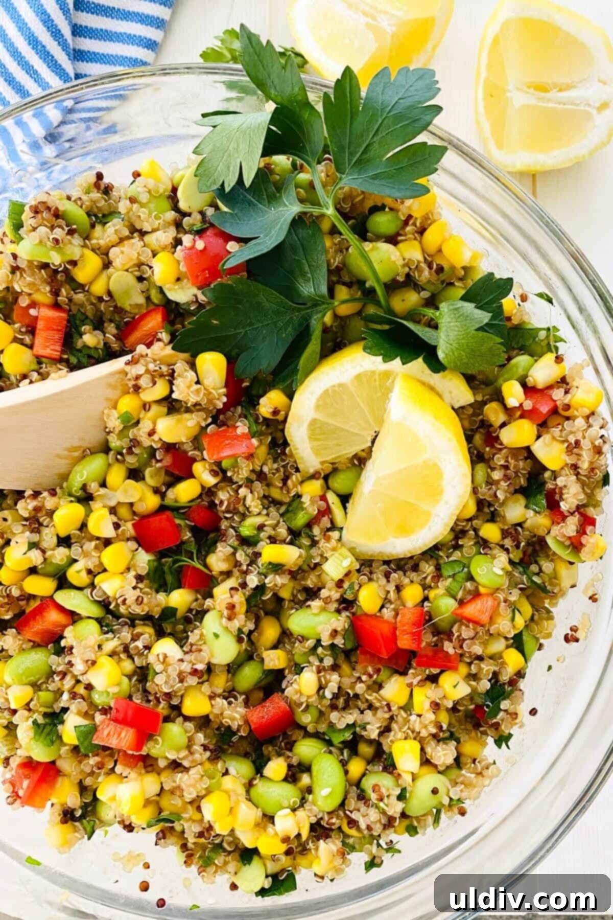 Quinoa Rainbow Salad with Sesame Vinaigrette 2 recipe for tricolor quinoa salad in bowl with wooden spoon, showcasing vibrant colors.