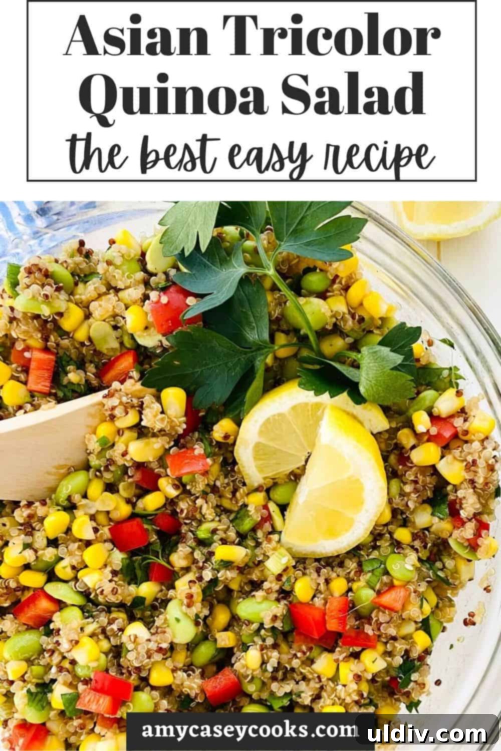 Quinoa Rainbow Salad with Sesame Vinaigrette 11 Tricolor Quinoa Salad recipe with sesame vinaigrette, ready for Pinterest.