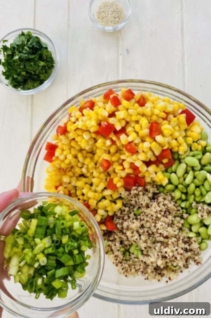 Quinoa Rainbow Salad with Sesame Vinaigrette 7 adding sliced green onions to tricolor quinoa salad mixture.