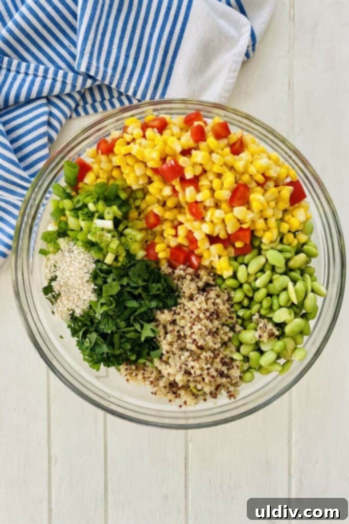 Quinoa Rainbow Salad with Sesame Vinaigrette 8 tricolor quinoa salad ingredients in a bowl before mixing with dressing.