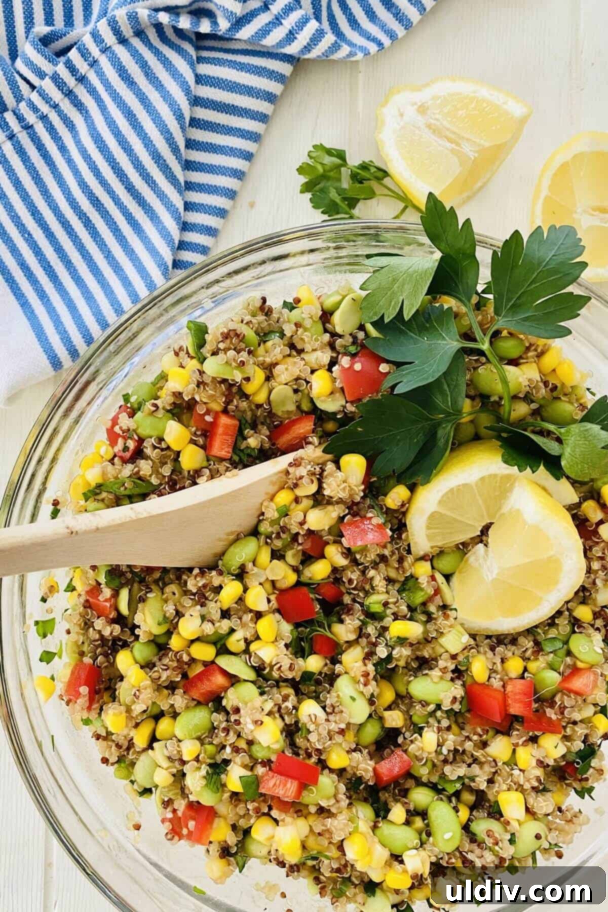 Quinoa Rainbow Salad with Sesame Vinaigrette 10 quinoa salad with fresh lemon wedge garnish.